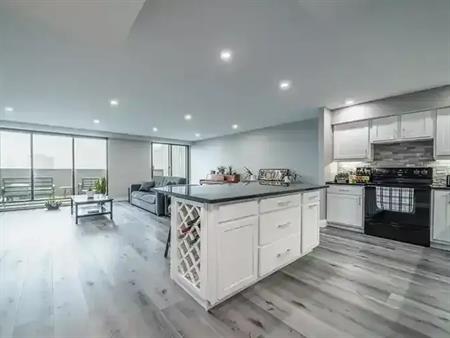Downtown Royal Windsor Terrace! | 380 Pelissier Street, Windsor