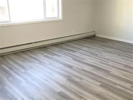 EXTRA LARGE ONE BEDROOM IN MISSION, RENOVATED BUILDING | 310 19 Avenue SW, Calgary