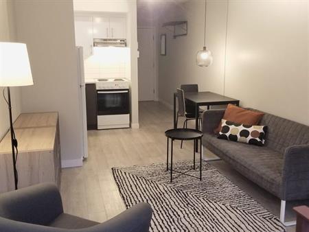1 CH - 1 SDB - Montréal - $1,495 /mo