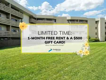 3255 Cook St | 3255 Cook St, Victoria