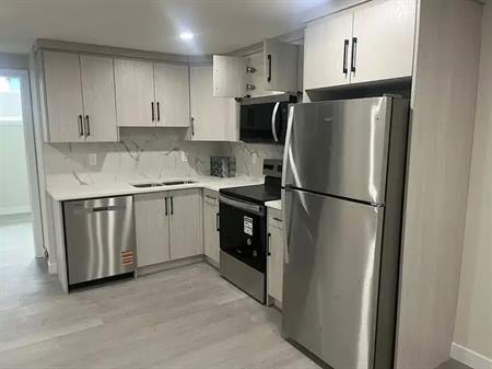 Spacious New Legal Basement Suite with 2 bedrooms in Logan Landing (Near Seton) | Calgary