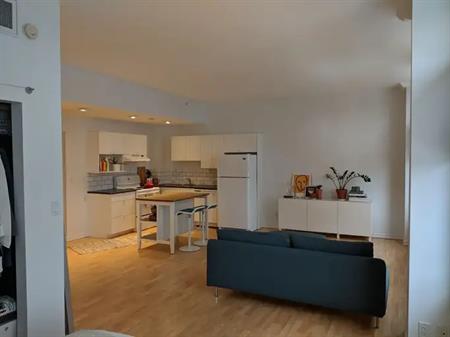 Downtown Loft the Historic McLeod Building | 10134 100 St NW, Edmonton