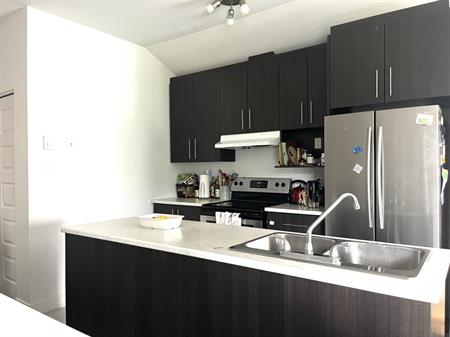Grand Appartement Lumineux