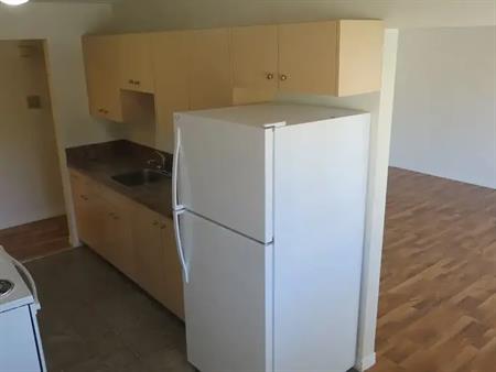 Killarney - large 2 Bedroom Suite | 2221 28 St. S.W., Calgary