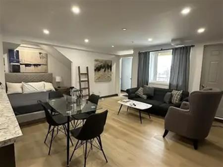 Furnished 2 bedroom plus den Apartment  Only $1688 | 102 - 10810 98 Street Northwest, Edmonton