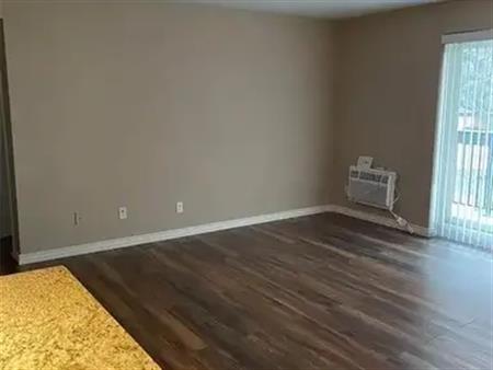 8591 RIVERSIDE DRIVE Unit# 210 | 8591 RIVERSIDE DRIVE Unit# 210, Windsor