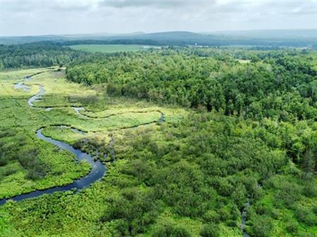 Ste-Anne-de-la-Rochelle (Estrie) : Terre à bois de 53 acres avec ruisseau, ancienne scierie, potentiel acéricole