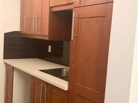 Grand 41/2 Apt Renover Style Condo