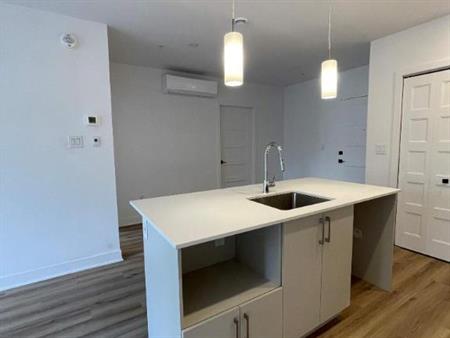 Studio Neuf , semi-meublé et internet inclus! 6170 Vanier