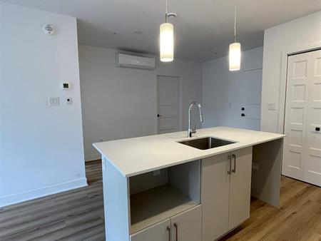 Studio Neuf , Semi-meublé Et Internet Inclus! 6170 Vanier