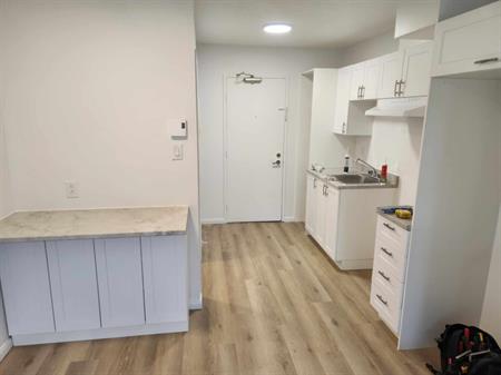 STUDIO RÉNOVÉ | FLEURIMONT |TOUT INCLUS