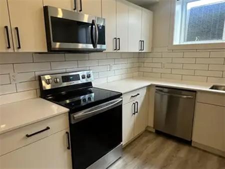 Newly Finished Basement Suit | Edmonton