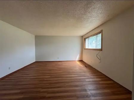 Spacious 2 bedroom basement suite | 3603 2 Street Northwest, Calgary