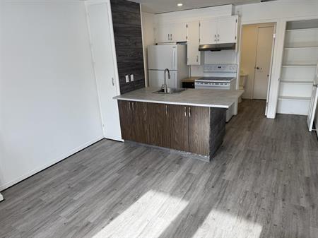 Immeuble - 826-836 Short/901-909 Courcelette Beau 3 1/2 Rénové