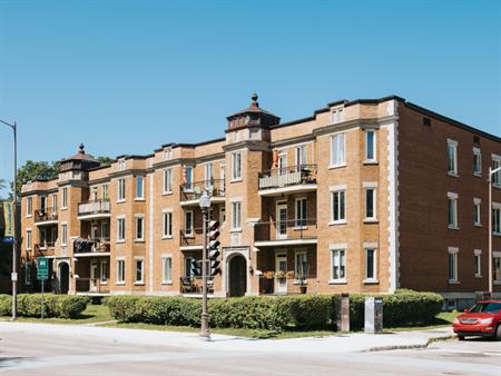 10 1/2 - Grand Allée / Brown