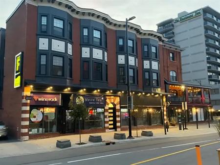 279 1/2 Elgin | 279 1/2 Elgin, Ottawa