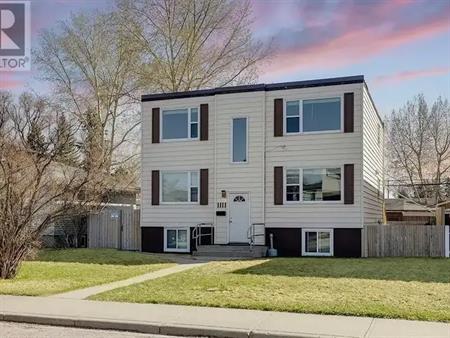 Super Cozy, bright and freshly renovated with mid-century modern vibe! | Calgary