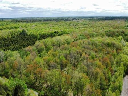 Bécancour (Centre-du-Québec) : Terre à bois de 53 acres avec érablière de 900 entailles, potentiel d’expansion, cabane à sucr