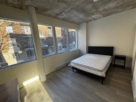 Vivre au centre de tout- 1 ch. -2 min de McGill & Mont-Royal