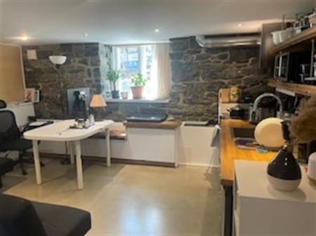 Appartement Demi Sous-sol Meublé