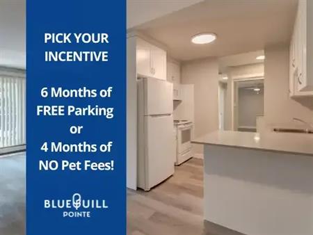 Blue Quill Pointe | 11615 28 Avenue NW, Edmonton
