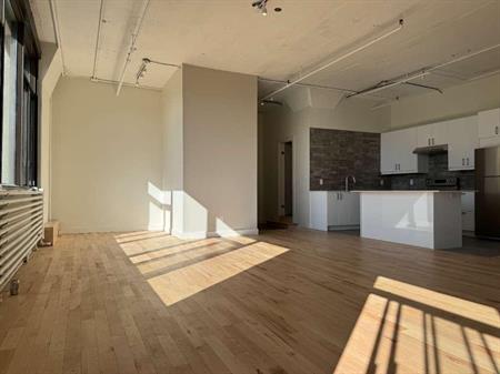 Très grand loft à proximité de la montagne et du parc Jeanne-Mance
