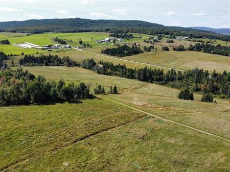 St-Julien (Chaudière-Appalaches) : Terre de 350 acres avec 101 acres en culture, forêt de 248 acres, étable, rivière
