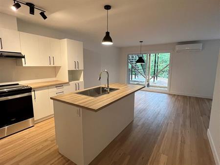 MONT-BLANC - 5½ APPARTEMENT À LOUER - JUILLET