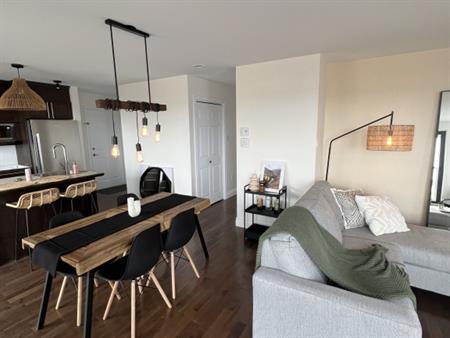 4 1/2 Rénové Avec Vue Sur Le Fleuve