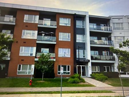 Condo 3 1/2 à louer