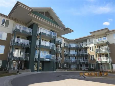 One Bedroom Condominium Located Next To University Of Calgary | 3111 34 Ave NW, Calgary