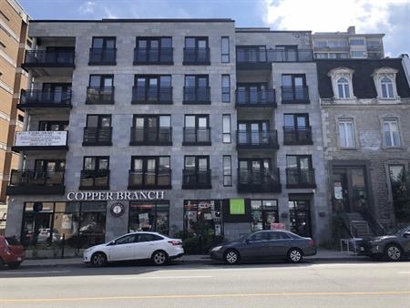 Condo 4/12 A Louer -plateau Mt-Royal