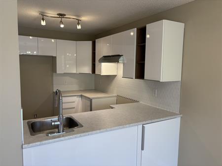Condo Rénové à Louer Avec Foyer+ Piscine