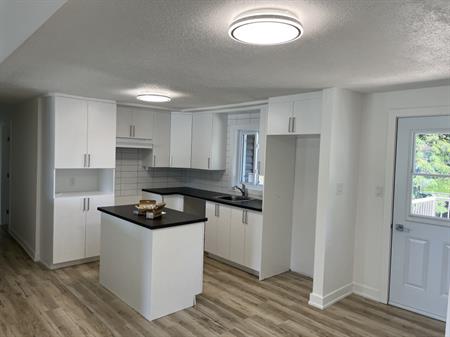 Appartement 3 C.c. Complètement Rénové