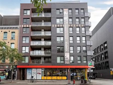 Dominik | 1255 Rue Saint-Dominique, Ville-Marie