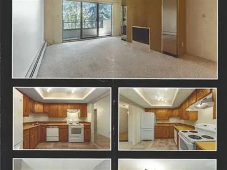 Lage 2 Bedroom, 2 Bath Condo across from Market Mall, Varsity | 212 - 3730 50 Street Northwest, Calgary