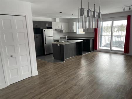 condo 41/2 a louer st remi