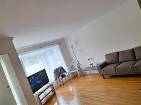 5.5 Rénové RDC 3plex@5mn Dix30 Brossard