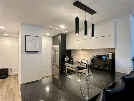Condo 3 1/2 Lumineux Sur Maguire