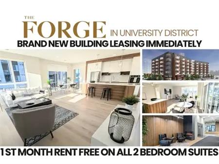 The Forge | 4030 University Ave NW, Calgary