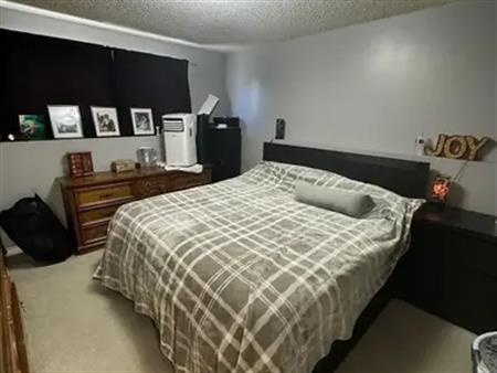2 Bedroom 1 Bathroom | 5 - 72 Huntley Close Northeast, Calgary