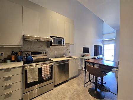 Loft - Laurier (outremont)