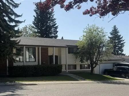 RENOVATED 4 BEDROOM 2.5 BATH HOUSE WITH DOUBLE GARAGE AT BRAESIDE SW | 19 Bracebridge Crescent SW, Calgary