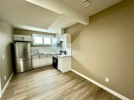 Discover Your Sanctuary in The Uplands! | 19135 29 Avenue NW Lower, Edmonton