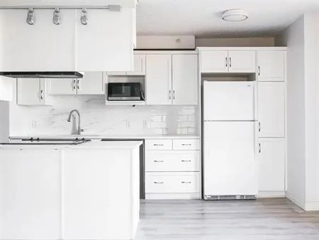 2 Bedroom Condo in the Beltline | 801 - 1240 12 Avenue Southwest, Calgary