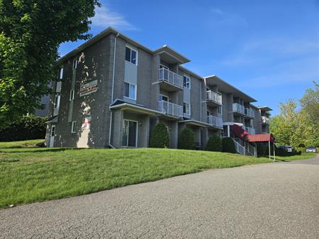 STUDIO MEUBLÉ TOUT INCLUS | JUILLET