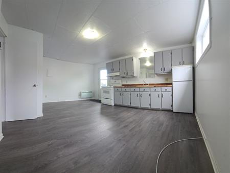 Appartement 2 ½ Accès De Plain-pied
