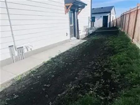 2 bed 1 bath Basement | 26 Silverton Glen Gate SW, Calgary