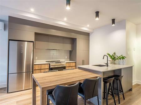 Magnifique 4 1/2 - Vieux Rosemont