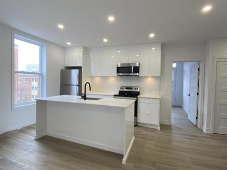 4 1/2 - Papineau (rosemont)